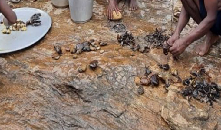 ନିଆରା ପ୍ରତିଯୋଗିତା : ଅଧିକ କଙ୍କଡା ଧର ଏବଂ ପୁରସ୍କାର ପାଅ