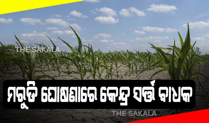 ମରୁଡି ଘୋଷଣାରେ କେନ୍ଦ୍ର ସର୍ତ୍ତ ସାଜିଛି ବାଧକ: ରାଜ୍ଯ ସାମ୍ନାରେ କେନ୍ଦ୍ର ରଖିଛି ୫ଟି ସର୍ତ୍ତ