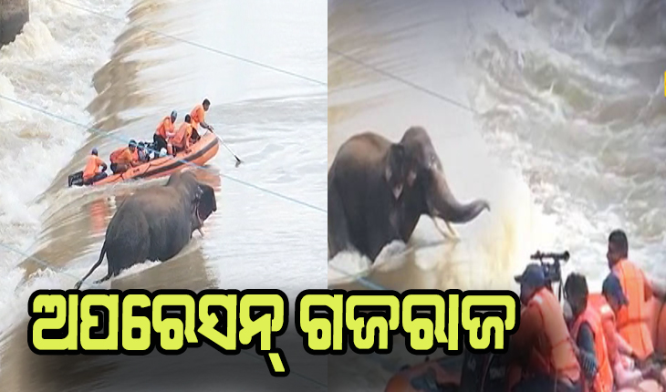 ଅପରେସନ୍ ଗଜରାଜ: ଉଦ୍ଧାର ବେଳେ ଓଲଟିଲା ଓଡ୍ରାଫ୍ ବୋଟ୍, ଉଦ୍ଧାର କାର୍ଯ୍ଯ ଜାରି