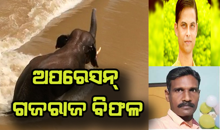 ଅପରେସନ୍ ଗଜରାଜ ବିଫଳ: ଅକାଳରେ ଚାଲିଗଲା ୨ ଜୀବନ, ଆଜି ଜୋବ୍ରାରୁ ମିଳିଲା ଦନ୍ତା ହାତୀର ମୃତଦେହ