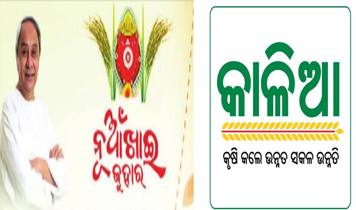 ପବିତ୍ର ନୂଆଁଖାଇ ଅବସରରେ ରାଜ୍ୟର ୩୭ ଲକ୍ଷରୁ ଉର୍ଦ୍ଧ୍ବ ଚାଷୀଙ୍କୁ ୭୪୩ କୋଟି ଟଙ୍କାର କାଳିଆ ସହାୟତା ଭେଟି ଦେବେ ମୁଖ୍ୟମନ୍ତ୍ରୀ