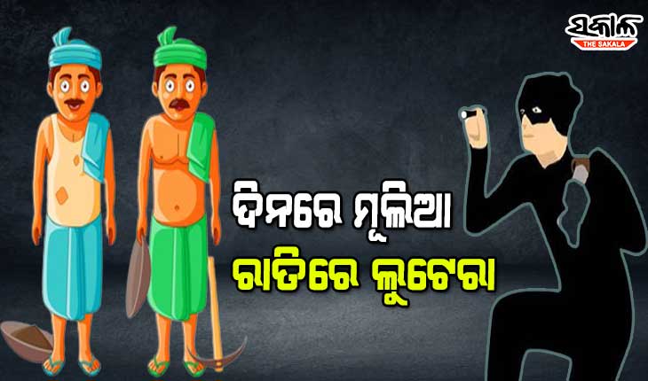 ଭିନ୍ନ ଏକ ଲୁଟିଆ ଗ୍ୟାଙ୍ଗ, ଦିନରେ ମୂଲିଆ ରାତିରେ ଲୁଟେରା