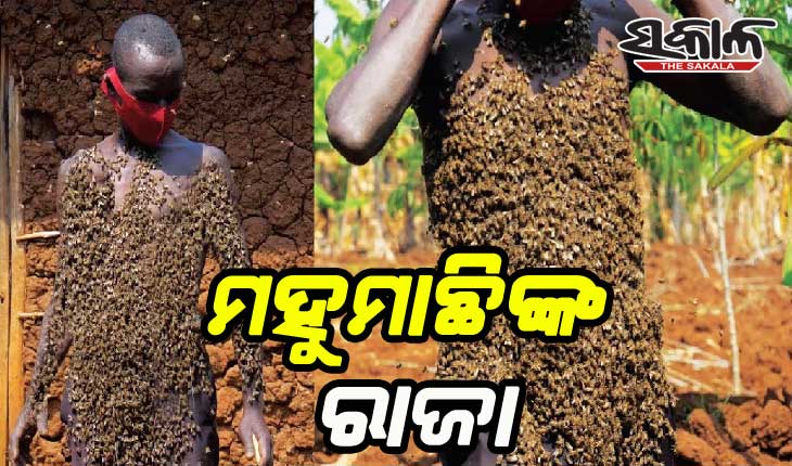 ଅଜବ ସଉକ: ମହୁମାଛିଙ୍କ ରାଜା ନଦିସାବା, ଯିଏ ନିଜ ଶରୀରରେ କରୁଛନ୍ତି ମହୁମାଛି ପାଳନ