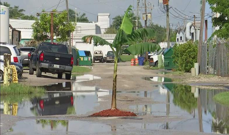 ଦୁର୍ଘଟଣା ରୋକିବା ପାଇଁ ଲୋକମାନେ ମଝିରାସ୍ତାରେ ପୋତିଲେ କଦଳୀ ଗଛ