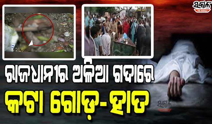 ରାଜଧାନୀରେ ଚାଞ୍ଚଲ୍ୟ, ରାମ ମନ୍ଦିର ପଛପଟ ଅଳିଆଗଦାରୁ ମିଳିଲା ମଣିଷର କଟା ଗୋଡ-ହାତ