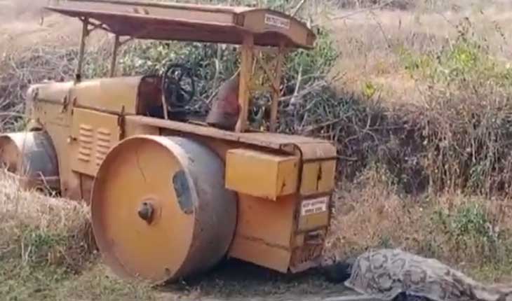 ରୋଲର୍ ଷ୍ଟାର୍ଟକରି ଆଗକୁ ଡେଇଁ ପଡ଼ିଲେ ଡ୍ରାଇଭର୍