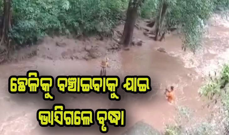 ନାଳରେ ଫସି ରହିଥିବା ଛେଳିକୁ ବଞ୍ଚାଇବାକୁ ଯାଇ ଭାସିଗଲେ ବୃଦ୍ଧା