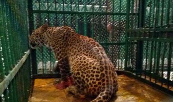 ନନ୍ଦନକାନନକୁ ଆସିଲେ ରାଜସ୍ଥାନ ଅତିଥି