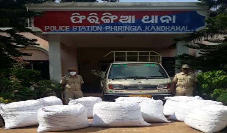 ୫ କୁଇଣ୍ଟାଲରୁ ଉର୍ଦ୍ଧ୍ବ ଗଞ୍ଜେଇ ଜବତ, ଗାଡ଼ି ଛାଡ଼ି ମାଫିଆ ଚମ୍ପଟ