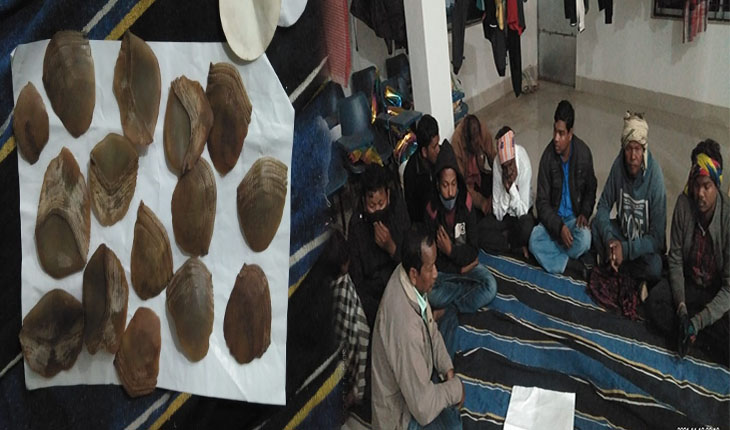 ବଜ୍ରକାପ୍ତା କାତି ଚୋରା ଚାଲାଣ ପାଇଁ ଡିଲ୍ ବେଳେ ମାଡି ବସିଲା ବନ ବିଭାଗ; ୧୫ ଖଣ୍ଡ କାତି ଜବତ, ୧୫ ଗିରଫ