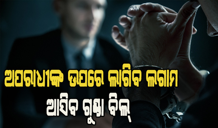 ସାବାଡ଼ ହେବେ ଅପରାଧୀ: ଆସିବ ଗୁଣ୍ଡା ବିଲ୍‌, ଅପରାଧୀଙ୍କ ପାଇଁ ୭ରୁ ୧୦ ବର୍ଷ ଜେଲ୍‌, ସରକରୀ କର୍ମଚାରୀଙ୍କ ପାଇଁ ୩ରୁ ୧୦ ବର୍ଷ କାରାଦଣ୍ଡ