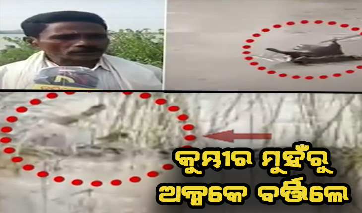 ବୈତରଣୀ ନଦୀର ମୁଆଁଘାଟରେ କୁମ୍ଭୀର ଆତଙ୍କ: ଅଳ୍ପକେ ବର୍ତ୍ତିଲେ ୪ ମତ୍ସ୍ୟଜୀବୀ