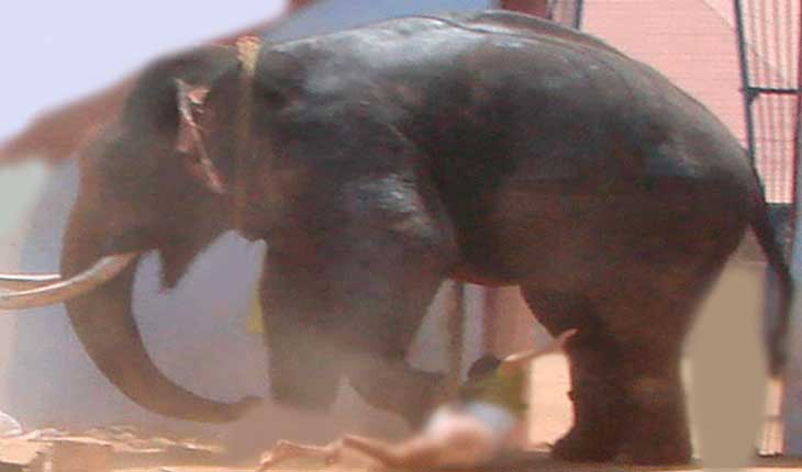 ଟ୍ୟୁସନ ଶିକ୍ଷକଙ୍କୁ ଦଳିଦେଲା ଦନ୍ତା