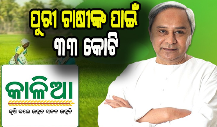 ଉପକୃତ ହେବେ ଚାଷୀ: ପୁରୀ ଜିଲ୍ଲା ପାଇଁ ମୁଖ୍ଯମନ୍ତ୍ରୀଙ୍କ କାଳିଆ ସହାୟତା ରାଶି ଘୋଷଣା