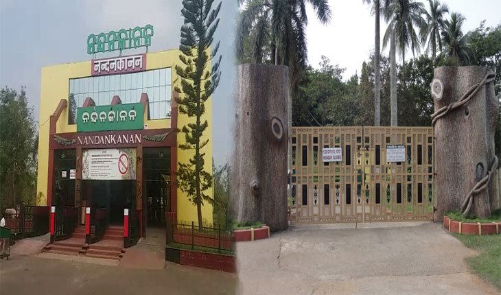 ଆସନ୍ତାକାଲିଠୁ ନନ୍ଦନକାନନ ପିଣ୍ଡି ବୁକିଂ; ସ୍ବତନ୍ତ୍ର ଗାଇଡ୍‌ଲାଇନ୍ ମଧ୍ୟରେ ବଟାନିକାଲ ଗାର୍ଡେନରେ ବଣଭୋଜିକୁ ଅନୁମତି