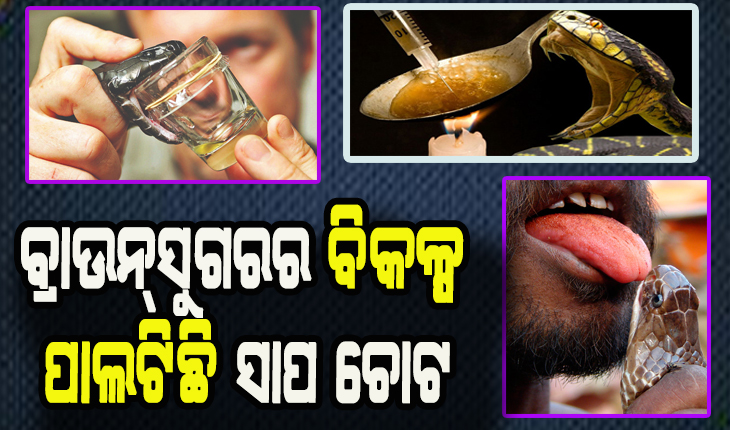 ନିଶାଖୋର ବ୍ୟକ୍ତିଙ୍କ ପାଇଁ ବ୍ରାଉନ୍‌ସୁଗରର ବିକଳ୍ପ ପାଲଟିଛି ସାପ ଚୋଟ, ଅଧିକ ଚୋଟ ଖାଉଛନ୍ତି ଇଞ୍ଜିନିୟରିଂ ଛାତ୍ର