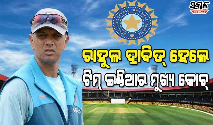 ଟିମ୍ ଇଣ୍ଡିଆର ମୁଖ୍ୟ କୋଚ୍ ହେଲେ ଦ୍ରାବିଡ୍, ଆଗାମୀ ନ୍ୟୁଜିଲାଣ୍ଡ ବିପକ୍ଷ ଘରୋଇ ସିରିଜରୁ ନେବେ ଦାୟିତ୍ୱ