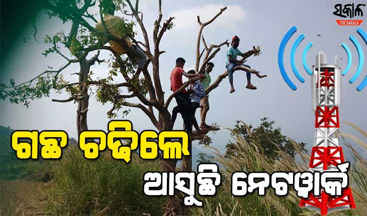 ୫ଜି ଯୁଗରେ ଗଛ ଭରସା, କଥା ହେବାର ଅଛି ତ ଗଛରେ ଚଢ