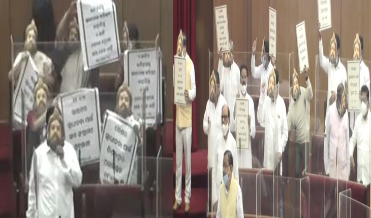 ପାଇକ ବିଦ୍ରୋହକୁ ଭାରତର ପ୍ରଥମ ସ୍ୱାଧିନତା ସଂଗ୍ରାମ ଘୋଷଣା କରିବା ନେଇ ବିଧାନସଭାରେ ବିଜେଡିର ପ୍ରତିବାଦ