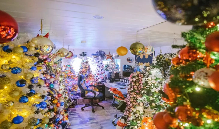 ଘରକୁ ୪୪୪ କ୍ରିସ୍‌ମାସ୍ ଟ୍ରିରେ ସଜାଇ ବିଶ୍ୱ ରେକର୍ଡ ସ୍ଥାପନ କଲେ ଦମ୍ପତି