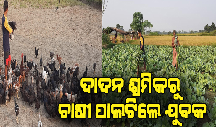 ଲକ୍‍ଡାଉନ ଦେଲା ରୋଜଗାର: ଦାଦନ ଶ୍ରମିକରୁ ଚାଷୀ ପାଲଟିଲେ ଯୁବକ