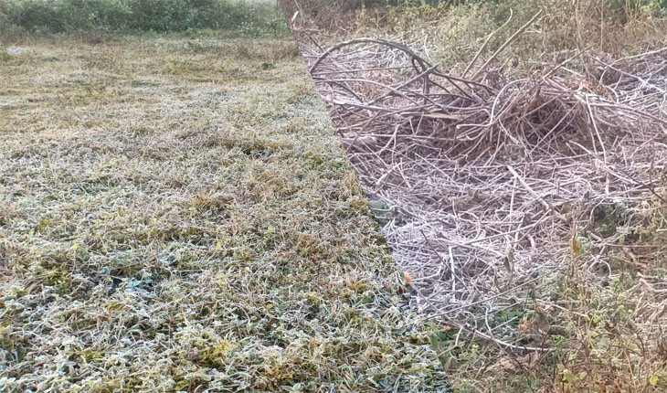 କେନ୍ଦୁଝର ଜିଲ୍ଲାର କାଞ୍ଜିପାଣି ଓ ସଦର ବ୍ଲକର ନଦୀକୂଳିଆ ଅଞ୍ଚଳରେ ତୁଷାରପାତ, ସର୍ବନିମ୍ନ ତାପମାତ୍ର ୬.୨°