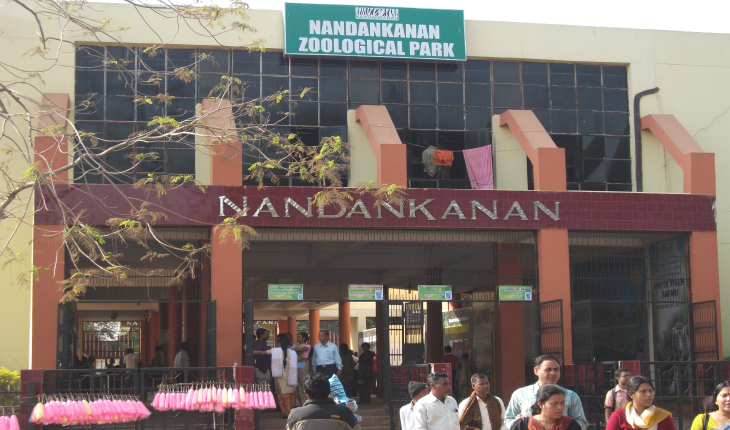 ନନ୍ଦନକାନନର ଆଜି ୬୨ତମ ପ୍ରତିଷ୍ଠା ଦିବସ, ୬ବାଘ ଛୁଆର କରାଗଲା ନାମକରଣ