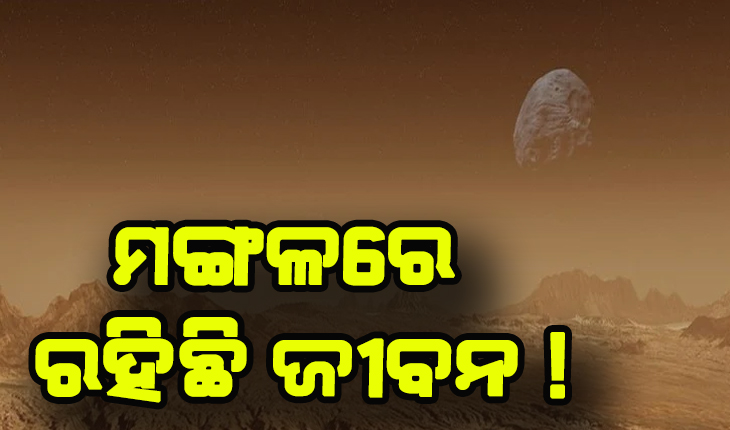 ନାସାର ଜଣେ ବଡ ବୈଜ୍ଞାନିକଙ୍କ ଦାବି: ମଙ୍ଗଳ ଗ୍ରହରେ ଦେଖାଯାଇଥିଲା ଏକ ନିଆରା ଜୀବ