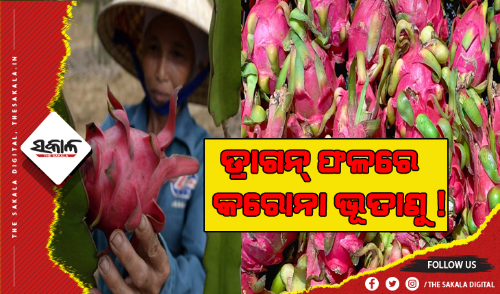ଚୀନ୍‌ର ୯ ସହରରେ ସୁପର ମାର୍କେଟ ବନ୍ଦ, ଡ୍ରାଗନ୍ ଫଳରେ କରୋନା ଭୂତାଣୁ !
