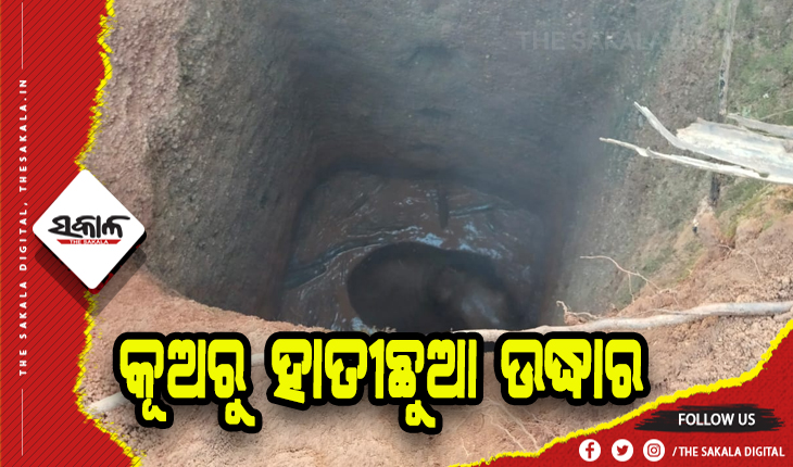 ୧୦ ଘଣ୍ଟାପରେ କୂଅରୁ ଉଦ୍ଧାର ହେଲା ହାତୀଛୁଆ