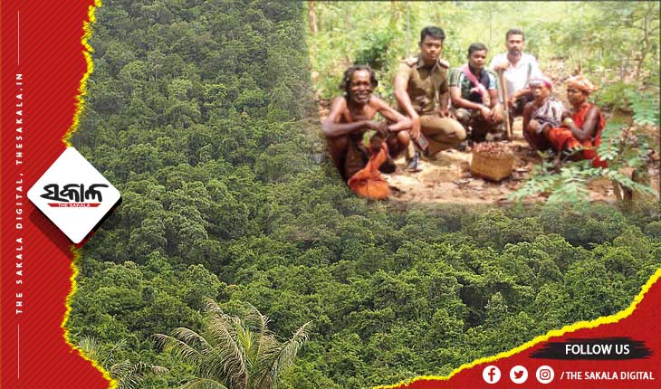 ନିଆରା ପ୍ରକୃତି ପ୍ରେମ : ୧୪ଶହ ଏକର ଜଙ୍ଗଲର ସୁରକ୍ଷା