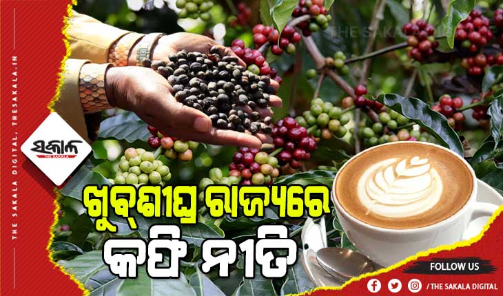 ଖୁବ୍‍ଶୀଘ୍ର ରାଜ୍ୟରେ ପ୍ରଣୟନ କରାଯିବ ସ୍ୱତନ୍ତ୍ର କଫି ନୀତି