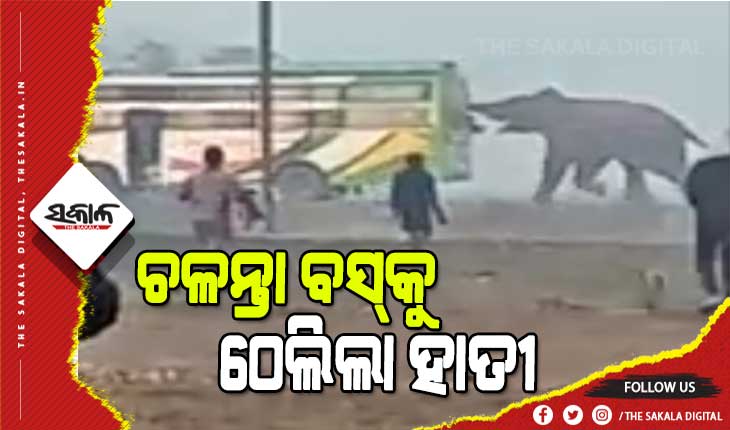 ବସକୁ ଶୁଣ୍ଢରେ ଠେଲି ଦେଲା ଦନ୍ତା, ଅଳ୍ପକେ ରକ୍ଷା ପାଇଲେ ଯାତ୍ରୀ