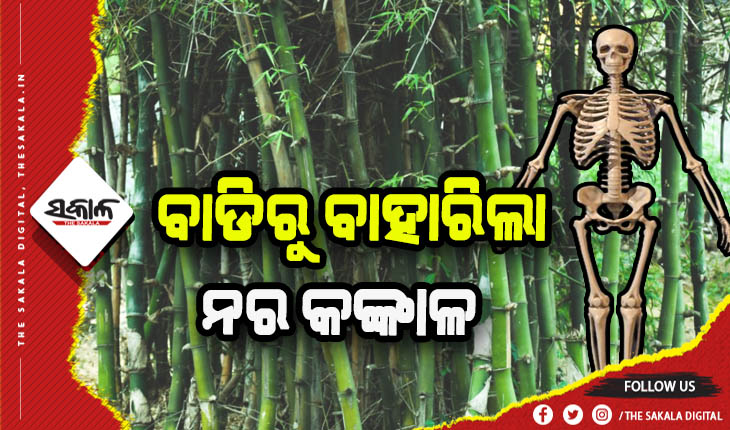 ଭଦ୍ରକରେ ଚାଞ୍ଚଲ୍ଯ: ବାଉଁଶ ବୁଦାରୁ ବାହାରିଲା ନର କଙ୍କାଳ