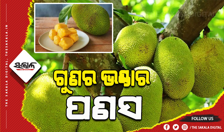 ଶରୀର ପାଇଁ କେତେ ସ୍ବାସ୍ଥ୍ୟପ୍ରଦ ହୋଇଥାଏ ପଣସ, ଆସନ୍ତୁ ଜାଣିବା….