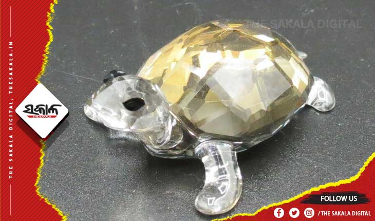 ବାସ୍ତୁଶାସ୍ତ୍ରରେ କ୍ରିଷ୍ଟାଲ୍‌ କଇଁଛର ମହତ୍ତ୍ବ