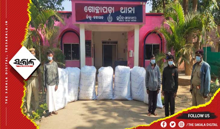 ୩ କ୍ୱିଣ୍ଟାଲରୁ ଉର୍ଦ୍ଧ୍ବ ଗଞ୍ଜେଇ ଜବତ, ୩ ଗିରଫ