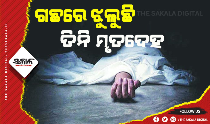 ଗଛରେ ଝୁଲୁଛି ୩ ଯୁବତୀଙ୍କ ମୃତଦେହ