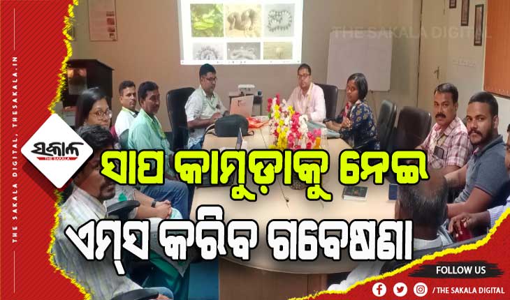 ସାପ କାମୁଡ଼ା ଓ ଏନେଇ ହେଉଥିବା ଧନଜୀବନହାନୀ ହ୍ରାସ ନିମନ୍ତେ ଗବେଷଣା କରିବ ଏମ୍‌ସ ଭୁବନେଶ୍ୱର