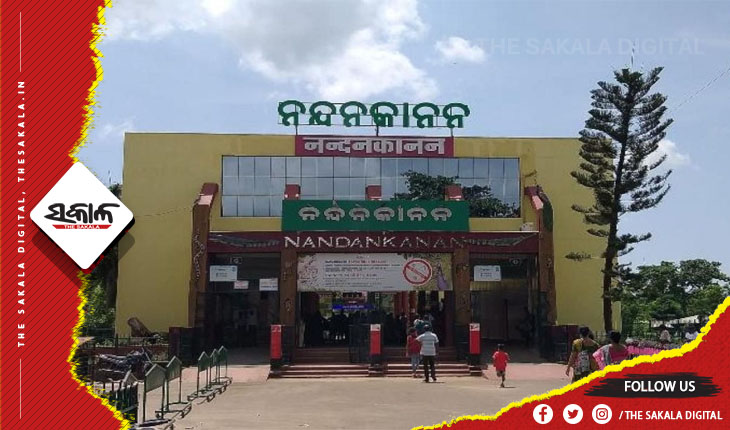 ନନ୍ଦନକାନନରେ ଆଖି ବୁଜିଲା ସିଂହୀ ଶ୍ୟାମା, ଦୀର୍ଘ ୩ ବର୍ଷ ଧରି ଚାଲିଥିଲା ଚିକିତ୍ସା