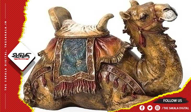 ଘରେ ରଖନ୍ତୁ ଓଟର ମୂର୍ତ୍ତି, ଦୂର ହେବ ଏହି ସବୁ ସମସ୍ୟା