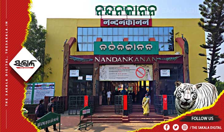 ବଢିବ ନନ୍ଦନକାନନ ଚିଡ଼ିଆଖାନାର ପରିସର: ଖର୍ଚ୍ଚ ହେବ ୬୦୦ କୋଟି ଟଙ୍କା