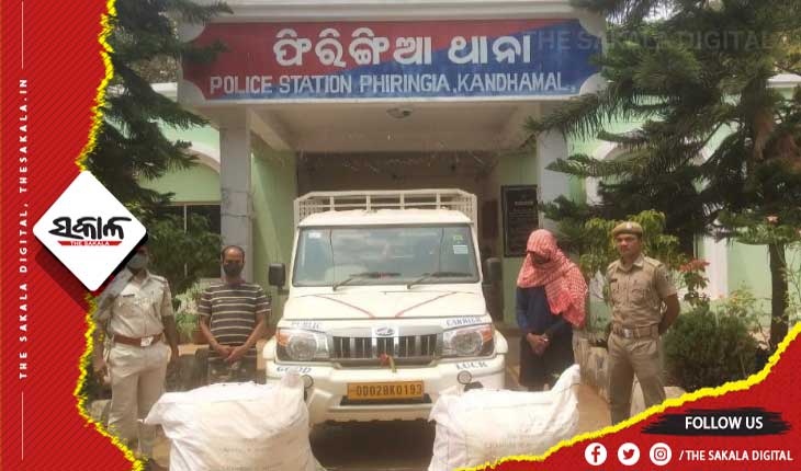 ୮୩ କିଲୋ ଗଞ୍ଜେଇ ଜବତ, ୨ ଗିରଫ