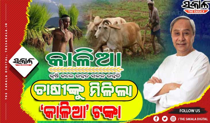 ମୁଖ୍ଯମନ୍ତ୍ରୀଙ୍କ ଅକ୍ଷୟ ତୃତୀୟା ଭେଟି: ଚାଷୀଙ୍କ ଆକାଉଣ୍ଟକୁ ଆସିଲା କାଳିଆ ଟଙ୍କା