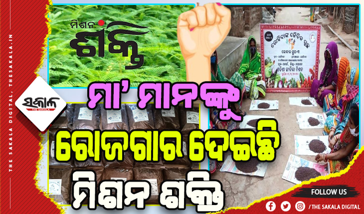 ମହିଳାମାନଙ୍କୁ ଶକ୍ତି ଯୋଗାଉଛି ମିଶନ ଶକ୍ତି: ଜୈବିକ ପ୍ରଣାଳୀରେ ୫୦ ଏକର ଜମିରେ ଚାଷ କରିଛନ୍ତି ମା’, ରୋଜଗାର ଦେଇଛି ଜିଆଖତ ଓ ଧନିଚା ଉତ୍ପାଦନ