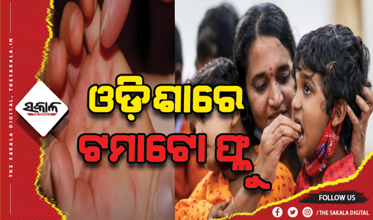 ଓଡ଼ିଶାରୁ ୨୬ ଟମାଟୋ ଫ୍ଲୁ ଆକ୍ରାନ୍ତ ଚିହ୍ନଟ