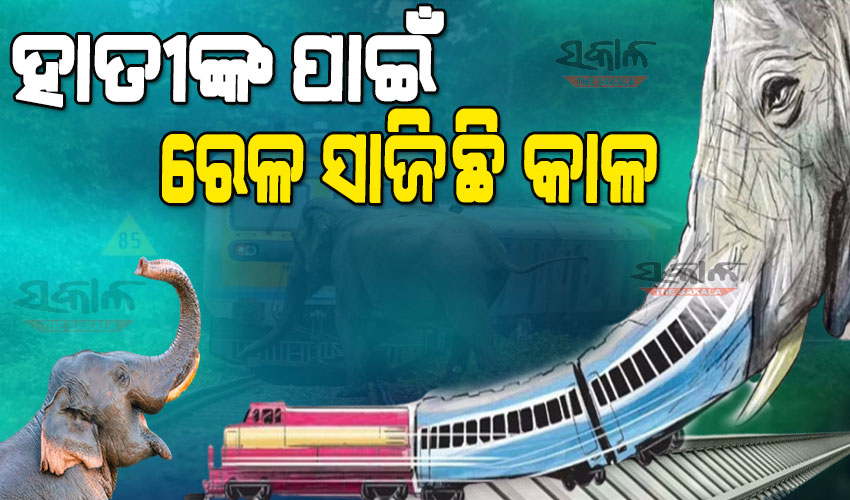 ବାଟବଣା ‘ପ୍ରୋଜେକ୍ଟ ଏଲିଫ୍ୟାଣ୍ଟ୍‌’ : ଟ୍ରେନ୍‍ ଦୁର୍ଘଟଣାରେ ୧୦ ବର୍ଷ ମଧ୍ୟରେ ମରିଛନ୍ତି ୩୬ ହାତୀ