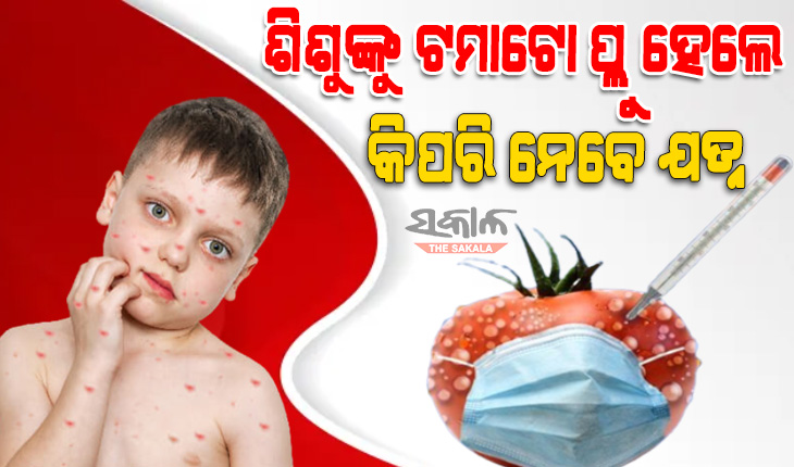 ଜାଣନ୍ତୁ ଟମାଟୋ ଫ୍ଲୁର କ’ଣ ରହିଛି ଲକ୍ଷଣ ଏବଂ କିପରି କରିବେ ଏହାର ଚିକିତ୍ସା