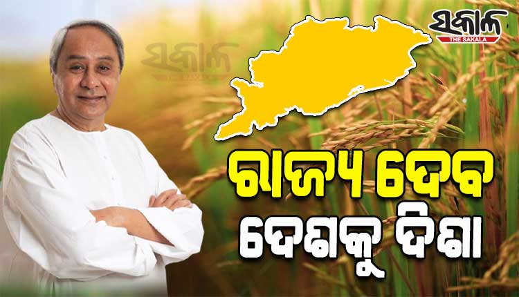 ଓଡ଼ିଶାର କୃଷି ବିକାଶ ପଦକ୍ଷେପକୁ କେନ୍ଦ୍ର ସରକାରଙ୍କ ସ୍ୱୀକୃତି; ଅନ୍ୟ ରାଜ୍ୟରେ କାର୍ଯ୍ୟକାରୀ ହେବ ଓଡ଼ିଶାର କୃଷି ବିକାଶ କୌଶଳ