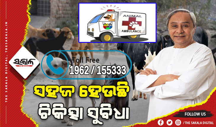ବୁଲା, ଅସହାୟ ଓ ପରିତ୍ୟକ୍ତ ପ୍ରାଣୀ ମାନଙ୍କୁ ସହାୟତା ଯୋଗାଇ ଦେବାପାଇଁ ଆଗେଇ ଆସିବାକୁ ଜନସାଧାରଣଙ୍କୁ ମୁଖ୍ୟମନ୍ତ୍ରୀଙ୍କ ନିବେଦନ